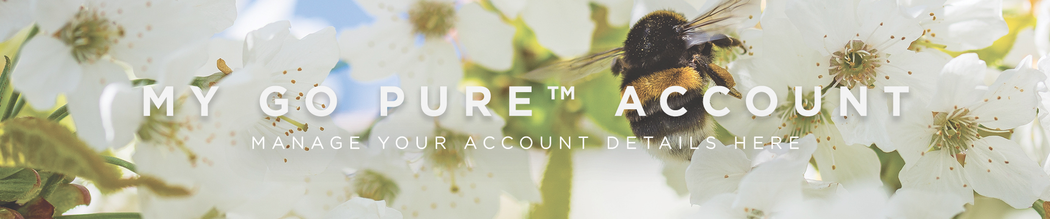 Go Pure Account - Manage your account here.